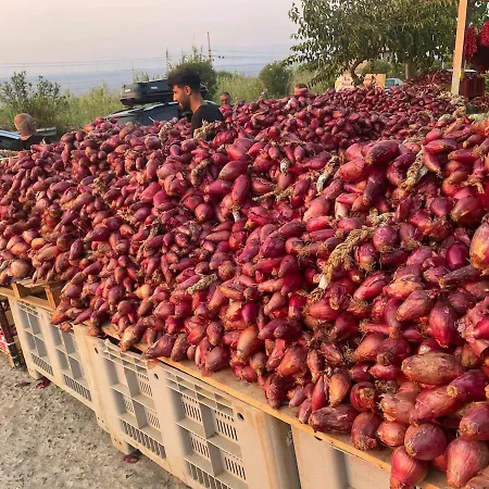 Zigi - Beautiful, Sunny Apartment, 70m2, Close To The Sea Appartement