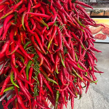 Zigi - Beautiful, Sunny Apartment, 70m2, Close To The Sea Appartement