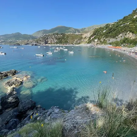 Zigi - Beautiful, Sunny Apartment, 70m2, Close To The Sea Daire *