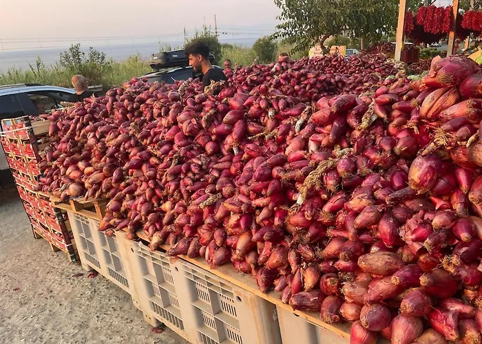 Zigi - Beautiful, Sunny Apartment, 70m2, Close To The Sea Apartman